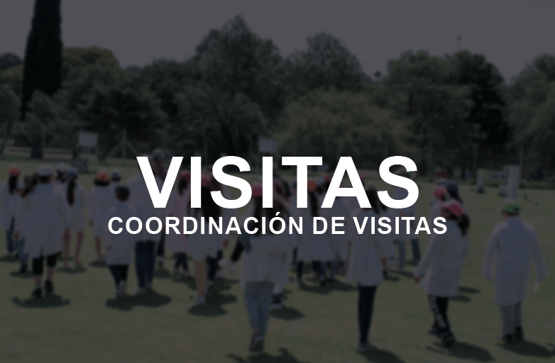 Visitas y charlas para Escuelas