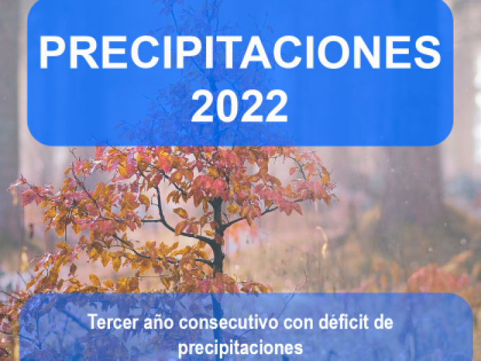 Precipitaciones 2022