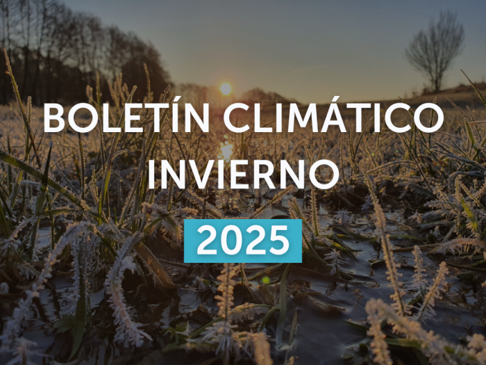Imagen de portada del boletín del invierno 2025